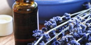 Kashmiri Lavender Essential Oil