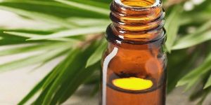Tea Tree Essential Oil
