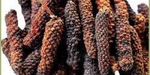 Momordica Charantia Fruit Extract