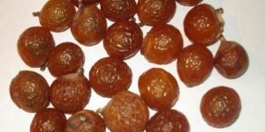 Sapindus Trifoliatus Fruit Extract