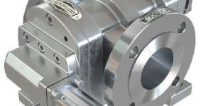 SS Rotary Twin Gear Pump