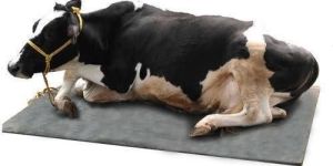 Cow Mat