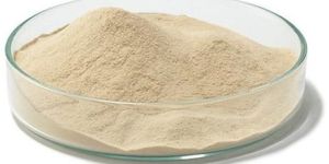 Nutrient Agar Powder