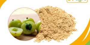 Spray Dried Amla Powder