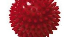 Spiky Ball Dog Toy