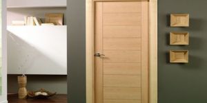 Woodencia WPC Door