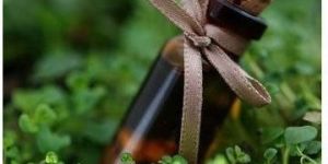 Peppermint Essential Oil