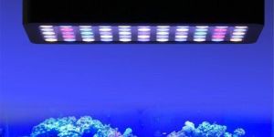 LED Aquarium Light