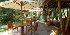 Outdoor Wooden Gazebo