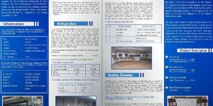 Frozen Chamber Rental Services