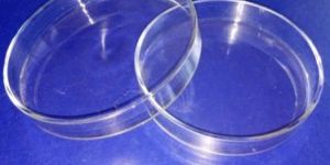 Petri Dishes