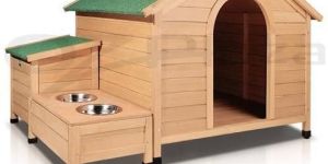 Dog Kennel