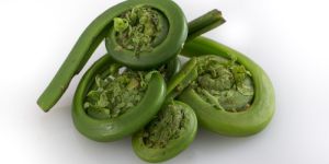 Fiddlehead Pickle