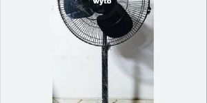 Pedestal Fan