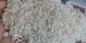 Sona Masoori White Raw Rice