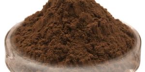 Spray Dried Caramel Powder