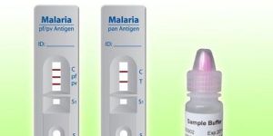 Malaria Test Kit