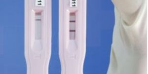 Progesterone Test Kit