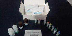 Total T3 Test Kit