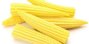 Fresh Baby Corn