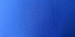 Plain Polyester Fabric