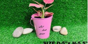 TABLE TOP PLANTER FOR FLOWER CHEAP AND BEST PLANTER HOME AND OFFICE
