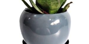 TABLE TOP POT PLANTER FOR HOME AND GARDENS
