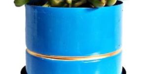 UNIQUE DESIGN TABLE CENTERPIECE DECORATIVE TABLE TOP PLANTER