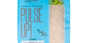 Organic Shastra Urad White Whole Bean