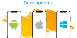 Cross -Platform Application Development