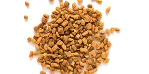 Organic Fenugreek