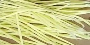 3.5 Inch Long Cotton Lamp Wicks