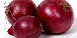 Red Big Onion