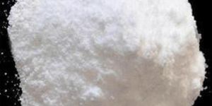 Lactobacillus Lactis