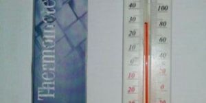 Labson Wall Thermometer