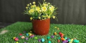 Plain Ceramic Bonsai Pot