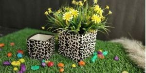 Square Ceramic Bonsai Pot