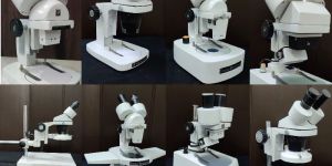 Stereo Microscope