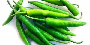 Fresh Green Chilli