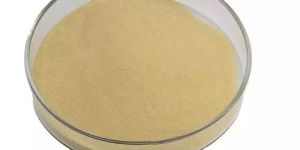 Dextranase Enzyme Powder