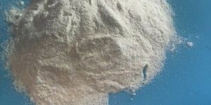 Lipase Enzyme Powder