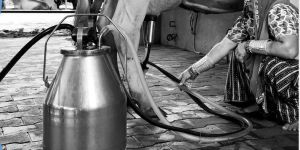 Milkeasy Milking Machine