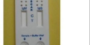 Typhoid Rapid Test Kit