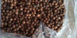 White Sandalwood Seed