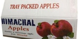 Fruit Packaging Carton