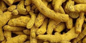 Organic Turmeric Bulb