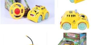 Remote Control Animal Car