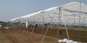 Greenhouse Fabrication Services