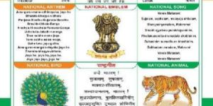 National Symbols 3d Embossed Chart