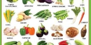 Vegetables 3d Embossed Chart